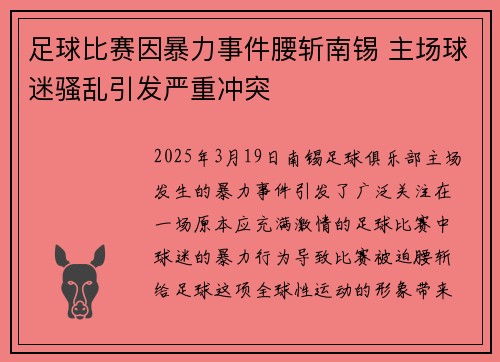 足球比赛因暴力事件腰斩南锡 主场球迷骚乱引发严重冲突