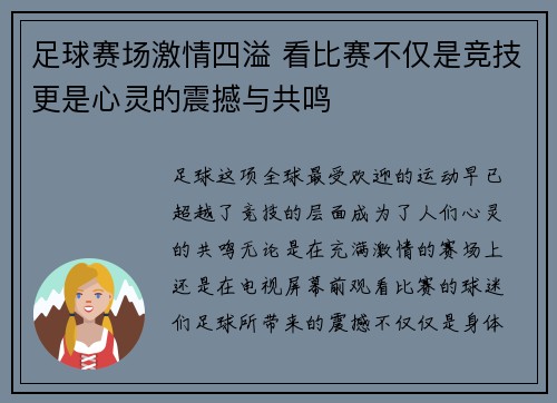 足球赛场激情四溢 看比赛不仅是竞技更是心灵的震撼与共鸣