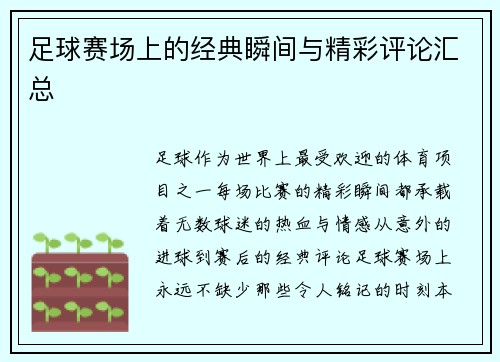 足球赛场上的经典瞬间与精彩评论汇总