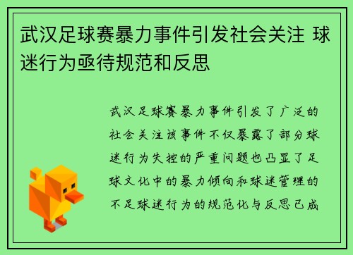 武汉足球赛暴力事件引发社会关注 球迷行为亟待规范和反思