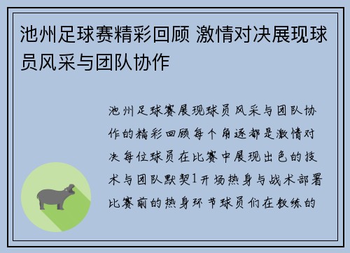 池州足球赛精彩回顾 激情对决展现球员风采与团队协作