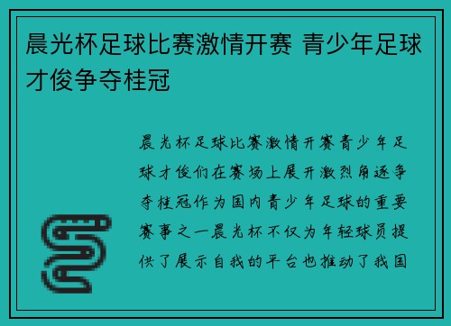 晨光杯足球比赛激情开赛 青少年足球才俊争夺桂冠