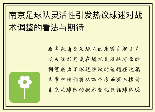 南京足球队灵活性引发热议球迷对战术调整的看法与期待